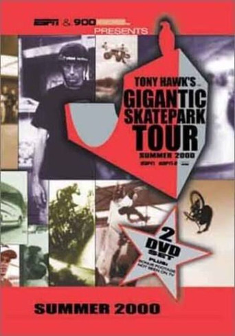 Tony Hawk's Gigantic Skatepark Tour 2000 movie poster