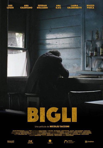 Bigli movie poster