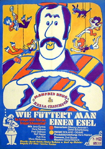 How Do You Feed A Donkey? movie poster