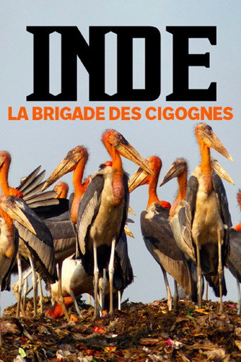 Inde, la brigade des cigognes movie poster