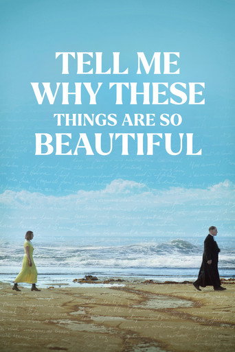 Tell Me Why These Things Are So Beautiful movie poster
