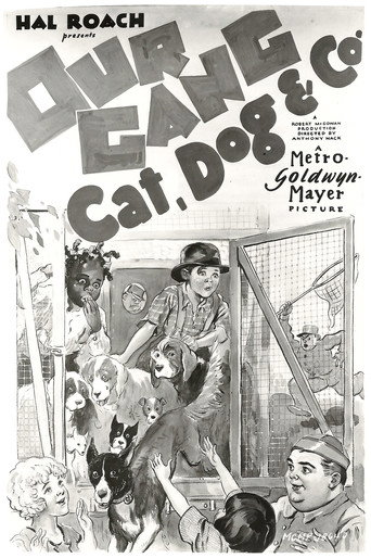 Cat, Dog & Co. movie poster