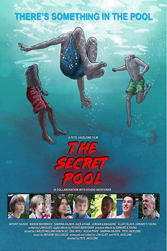 The Secret Pool movie poster