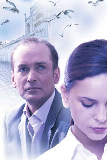 The Stepfather movie poster