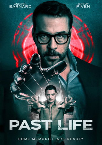 Past Life movie poster