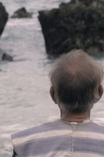 Lanyu — Three Stories movie poster