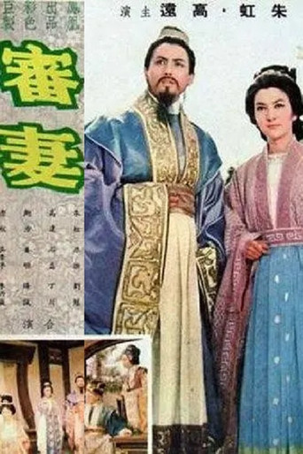 審妻 movie poster