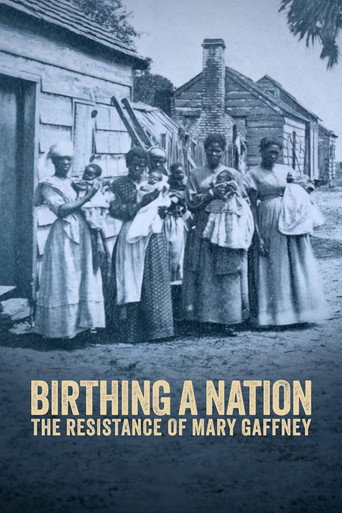 Birthing a Nation: The Resistance of Mary Gaffney movie poster
