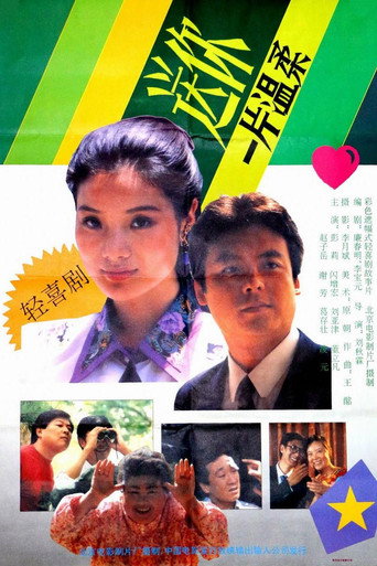 送你一片温柔 movie poster