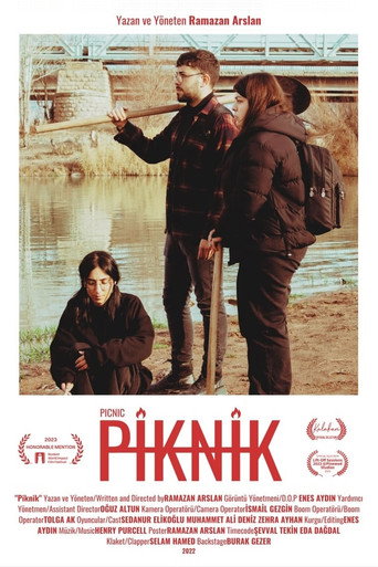 Picnic movie poster