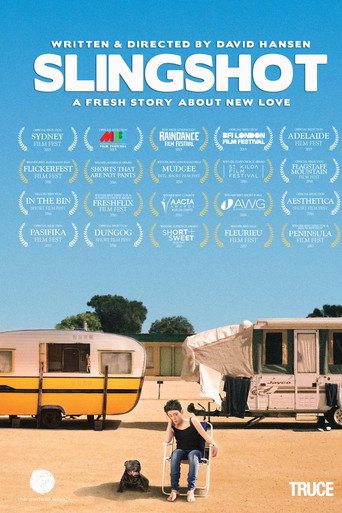 Slingshot movie poster