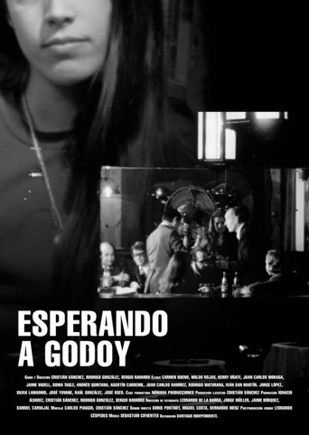 Esperando a Godoy movie poster