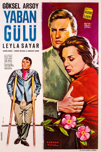 Yaban Gülü movie poster