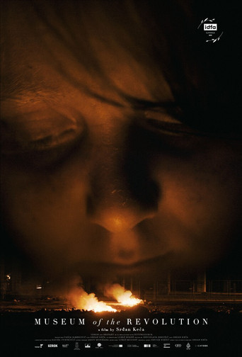Museum of the Revolution movie poster