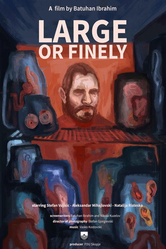 Large or Finely movie poster