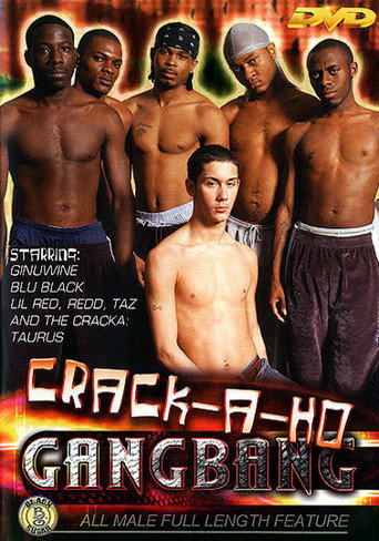 Crack-A-Ho Gang Bang movie poster