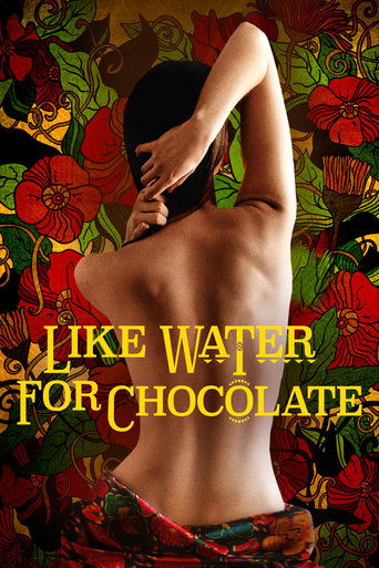 Like Water for Chocolate movie poster