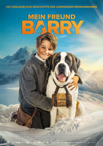 My Friend Barry movie poster