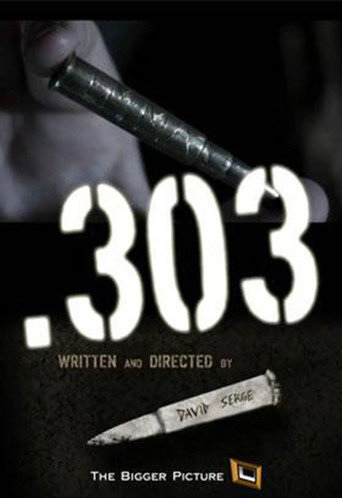 .303 movie poster