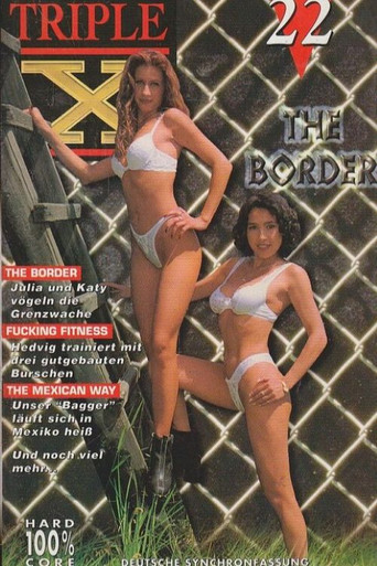 Triple X 22 movie poster