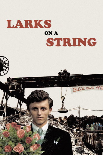 Larks on a String movie poster
