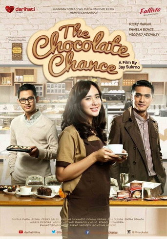 The Chocolate Chance movie poster