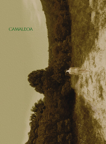 Camaleoa movie poster