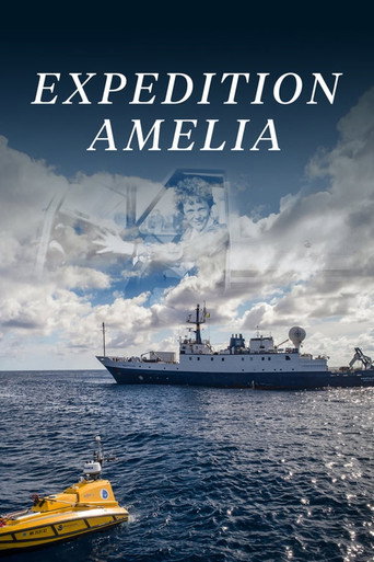 Expedition Amelia movie poster