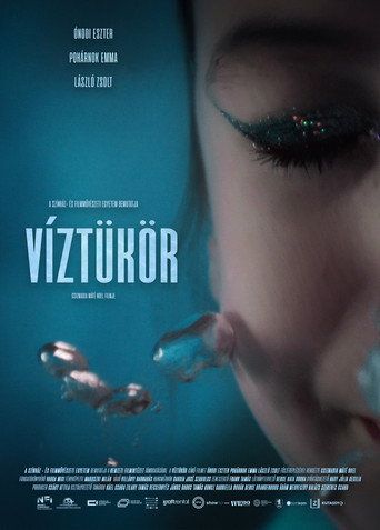 Reflections movie poster