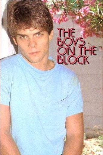 The Boys on the Block movie poster