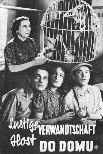 Host do domu movie poster