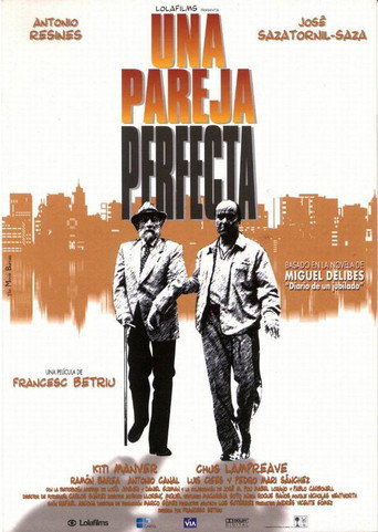 A Perfect Couple movie poster