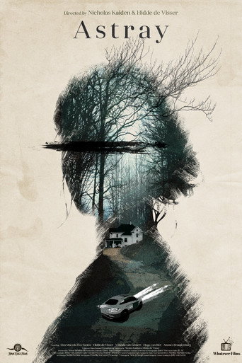 Astray movie poster