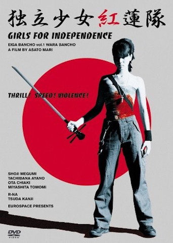 Samurai Chicks movie poster