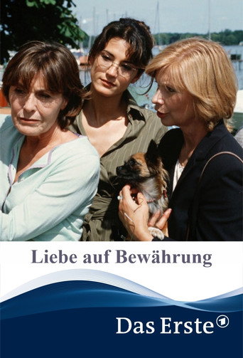 Liebe auf Bewährung movie poster