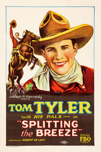 Splitting the Breeze movie poster