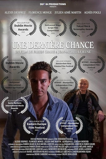 Une dernière chance movie poster