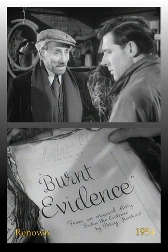 Burnt Evidence movie poster