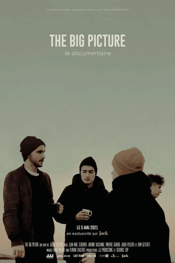 The Big Picture : Le documentaire movie poster