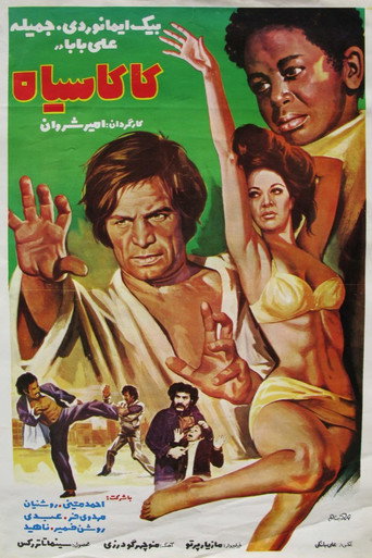 The Nigger movie poster