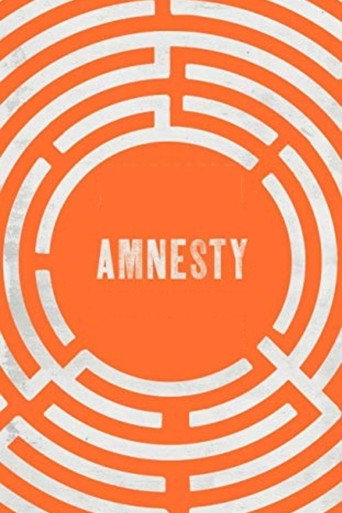 Amnesty movie poster