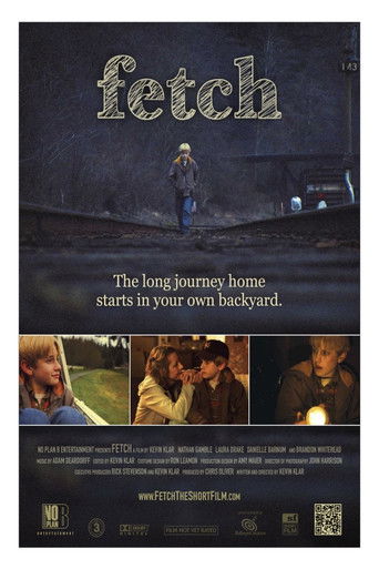 Fetch movie poster
