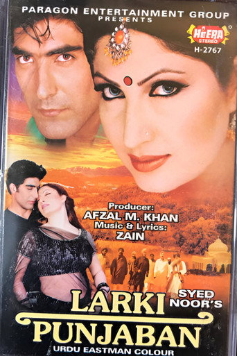 Larki Punjaban movie poster