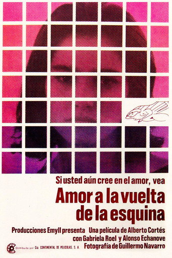 Love Around the Corner movie poster
