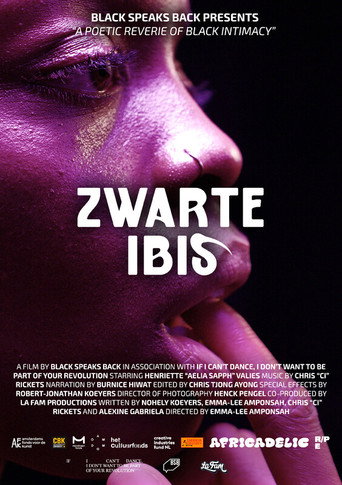 Black Ibis movie poster