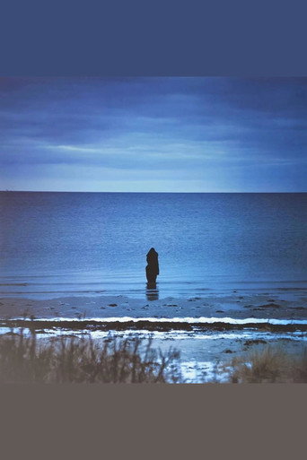 Steven Wilson: Catalogue / Preserve / Amass movie poster