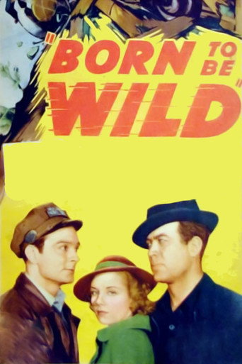 Born to Be Wild movie poster