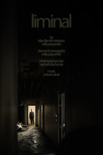 liminal movie poster