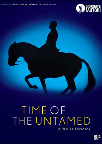 Time of the Untamed movie poster