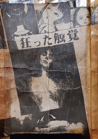 Distorted Sense of Touch movie poster